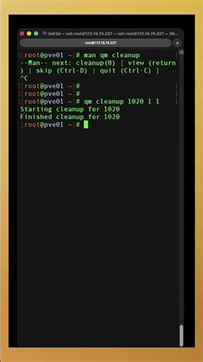 Cleanup your VMs in Proxmox!