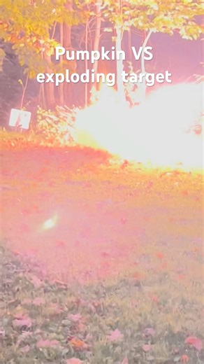 Pumpkin VS exploding target ￼