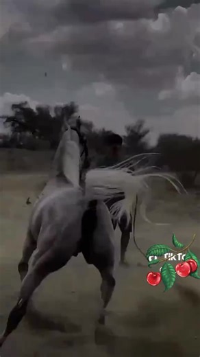 Video di Maurizio Coco (@maurizio.coco2) con orijinal ses - 👑