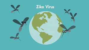 216K views · 269 reactions | What expectant moms need to know about the Zika virus. | Virginia Department of Health | Facebook