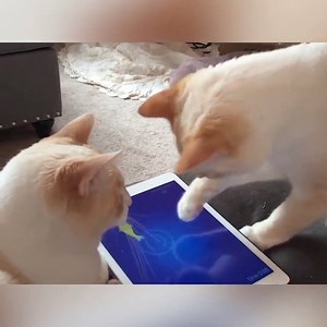 3.3M views · 106K reactions | They love technology | Humour pics | Facebook