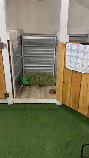 Barkingham Palace Grooming Services (All breed dog grooming) on Reels