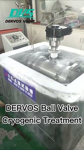DERVOS Cryogenic Treatment: Ensuring Ball Valve Reliability at Low Temperatures #dervosvalve