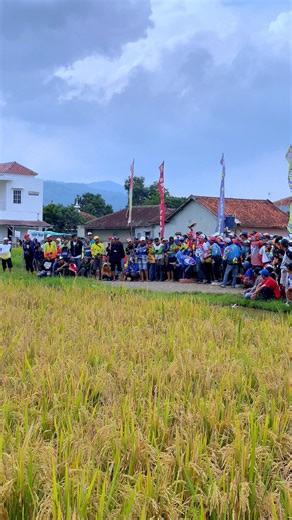 #pigeonsrace | ALBY Pro