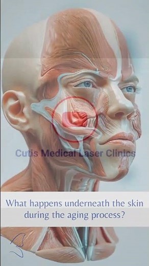 What Happens Underneath the Skin During the Aging Process #shorts