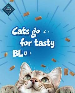 Cats go crazy for tasty BLUE Bursts, the crunchy, creamy, meat-first treats. | Blue Buffalo