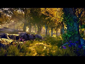 Enchanted Forest Ambience | Peaceful Fantasy Music for Relaxation, Reading & Studying