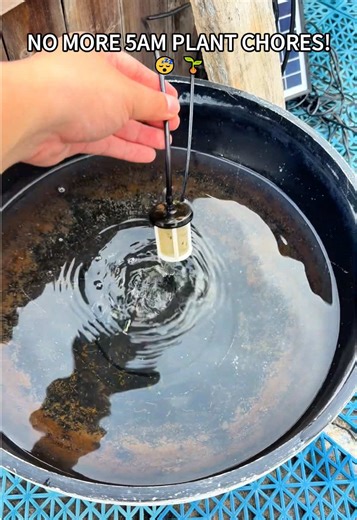 Hands-Free Garden Watering System