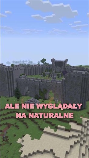 WYSADZIŁ BORDER #minecraft #plvtuber #shorts