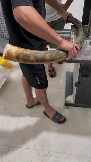 師傅說這根料很好#ivorybrouty #ivory #猛獁原料 #掛件 #手串 #手鐲 #念珠 #煙斗 #擺件