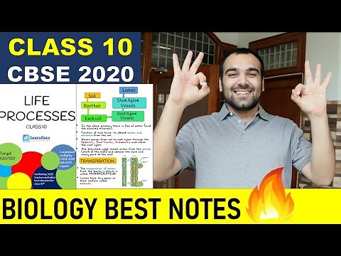 Best Biology Notes For Class 10 Board Exams | Chapter 1 Life Processes | CBSE Boards Notes 2021