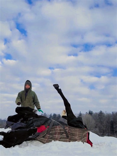 And to think... This is the year of the