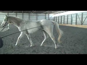 Cory's Ruptured Peroneus Tertius 1