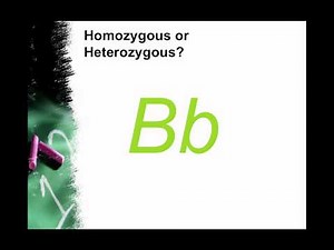 Genetic Crosses Introduction (IB Biology)