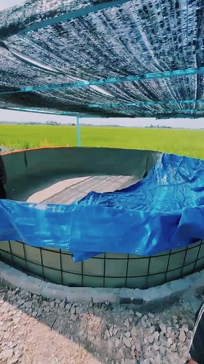 In progress.. #afkaakuakultur #sekuritimakananuntukmasadepan #fyp #ikankeli #aquculture #ikanlele #view