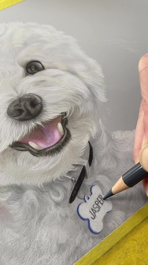Bichon Frise Memorial Portrait Drawing by Pet Artist Jasper