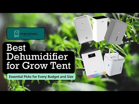 Best Dehumidifier for Grow Tent: Essential Picks for Every Budget and Size