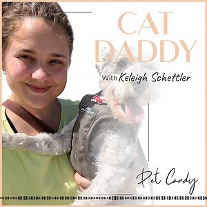 18 reactions | Are You Kitten Me? Cat Lover, Keleigh Schettler, Puts...