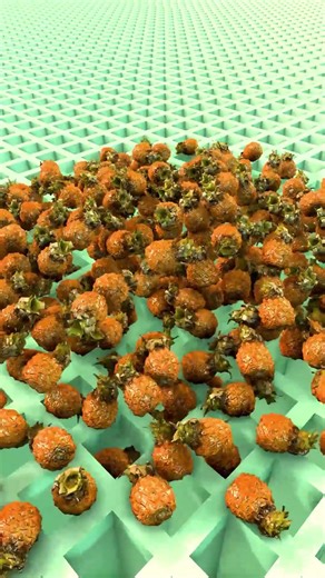 Brainrot Face Ball Falling 119😱#roblox #3danimation #gaming