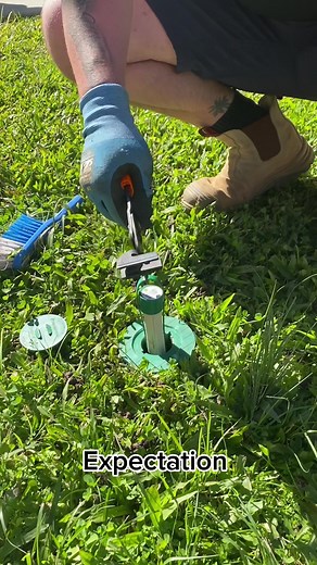 AllPro Pest Control on TikTok