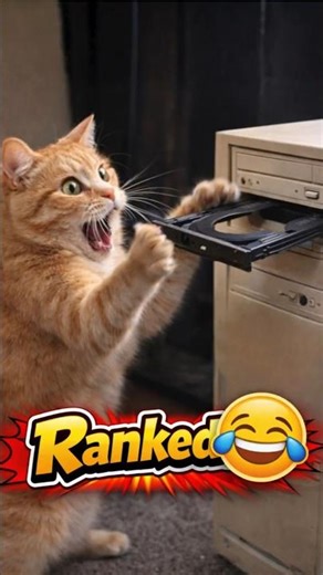 Ranking Funny Scaredy Cats Part 2 😹⚡ | #funnyshorts