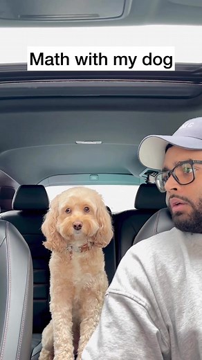 Luna the Smart Dog Solving Math Problems