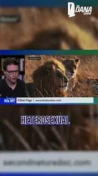 So Now The ANIMALS Are Gay?!😂