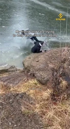 My friend and I are trying to help each other with trading