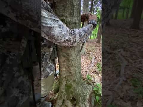 How to lock your Tactacam Reveal X Camera to a tree using a lock box and cable. Start to Finish!