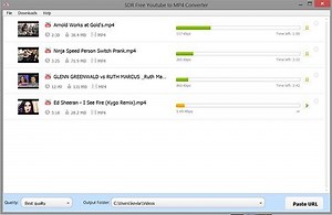 Free youtube to mp4 downloader pro
