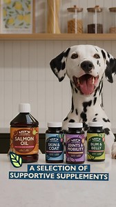 27 reactions | SUPPORT FROM HEAD TO TAIL  We’ve created a range...