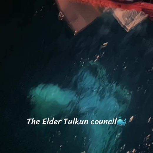 Tokun: The Peaceful Guardian of Pandora's Ocean Fights Back