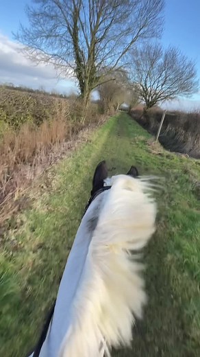 Mastering the Canter to Gallop Transition