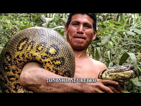 Anakondas, die Menschen angriffen!