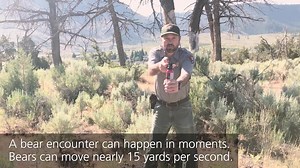 Bear Spray - Denali National Park & Preserve (U.S. National Park Service)