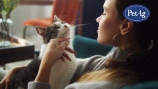 Taurine is an essential amino acid for felines, and our Taurine Tablets help support heart health, brain function, and clear eyesight.易變️ Perfect for picky eaters or cats on special diets! | Pet-Ag Pet Products | Facebook