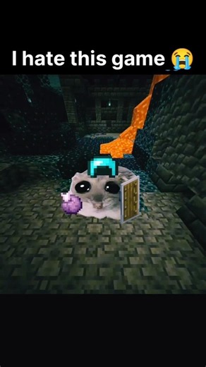 I hate minecraft so much #minecraft