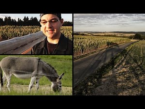 Eifelhöhen Brohlbachtal und Elzbachtal Wandern - Abenteuer in der Eifel