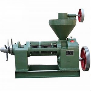 [Hot Item] 6yl-95 Coconut Peanut Sunflower Cooking Oil Making Machine
