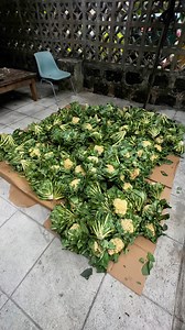 10K views | Rural Rising Philippines on Reels | Facebook