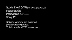 Sony F3 vs Panasonic AF-101 Field of View comparison
