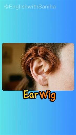 Literal Vs Reality English Compound Words