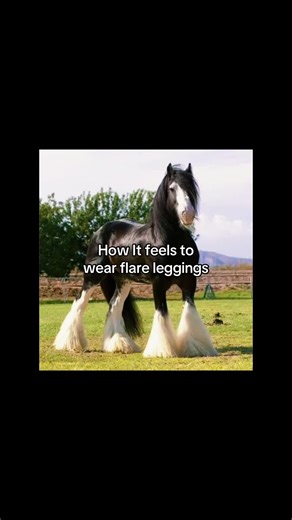 The Comfort of Flare Leggings for Horse Lovers