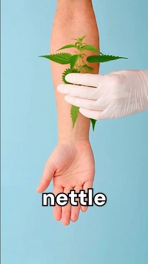 How Your Skin Reacts to These Plants