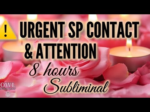 ⚠️ WARNING: SP Won’t Stop Messaging You Overnight | 8 Hour Extreme Constant Attention Subliminal
