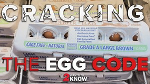 Cracking the code on egg labels