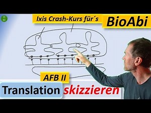 Translation 6: Typische Aufgaben - Skizzieren Translation – zwei unterschiedliche Aufgabenstellungen