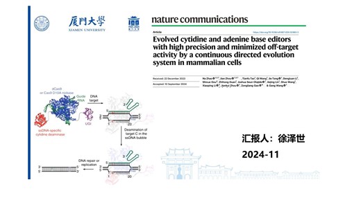 文献汇报-2024-11（徐泽世）