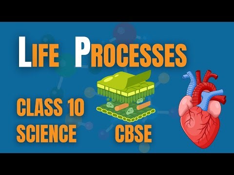 Life Processes| Lecture 2 | Class 10 | Science | CBSE | Free Education