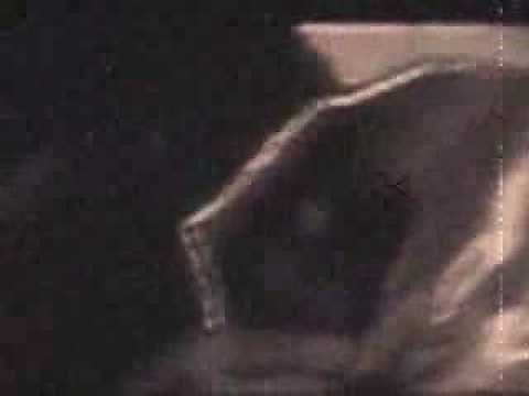 4 Aliens and a Human Hybrid Footage Part 1